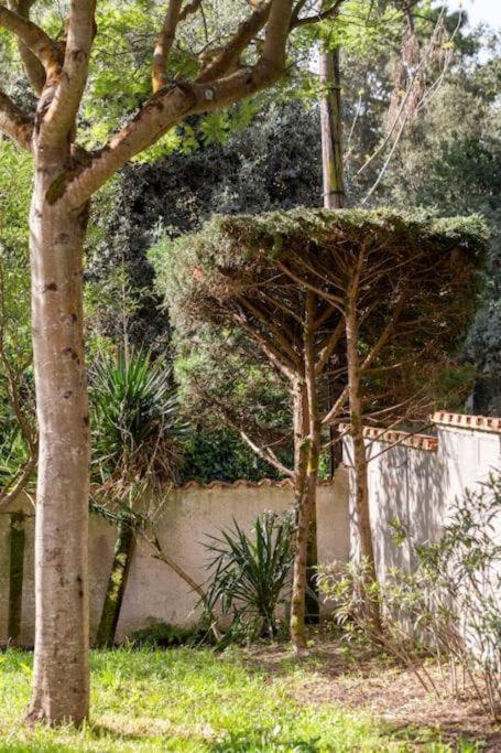 La Maison Des Epinouses, 4 Chambres A 450M De La Plage De Chaucre Saint-Georges-d'Oleron Exterior photo